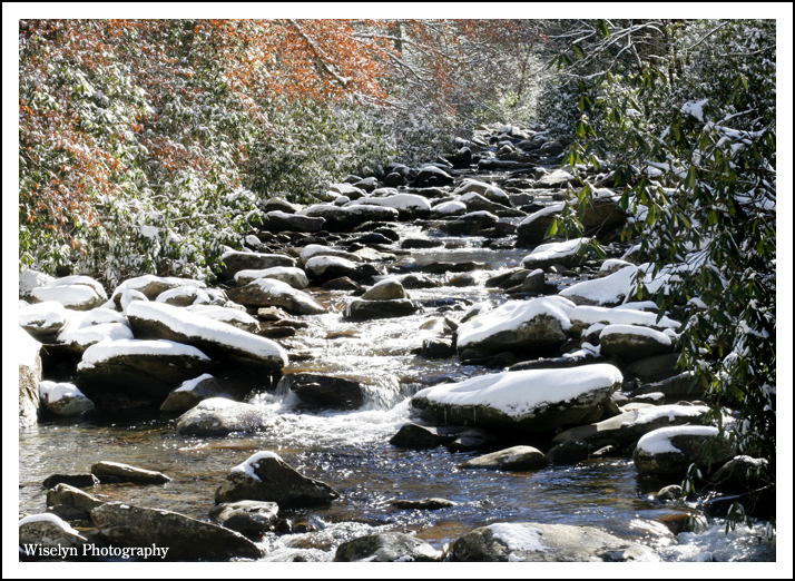 Mount LeConte Photography - Great Smokey Mountains National Park - Tennessee
